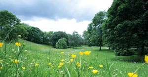 Peel Park